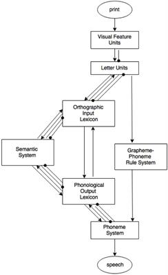 Word Naming in the L1 and L2: A Dynamic Perspective on Automatization and the Degree of Semantic Involvement in Naming